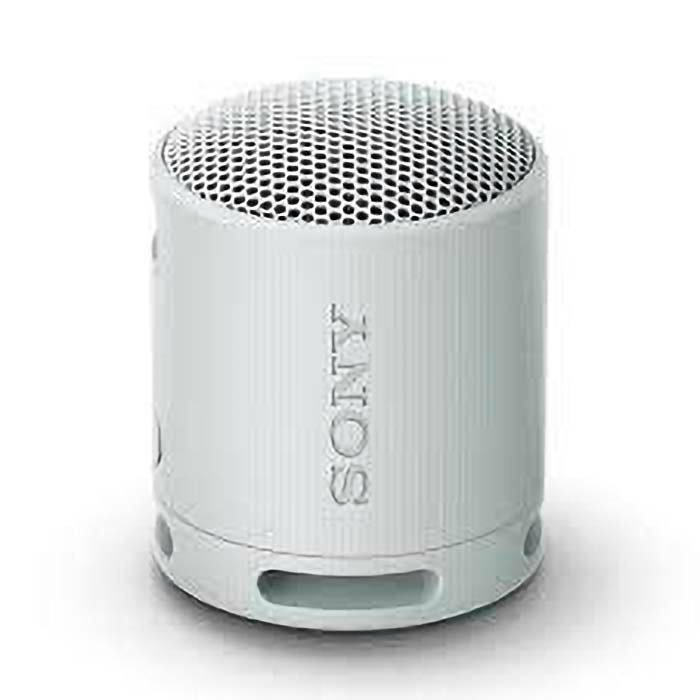 Sony SRS-XB100 White